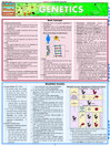 QuickStudy - Genetics